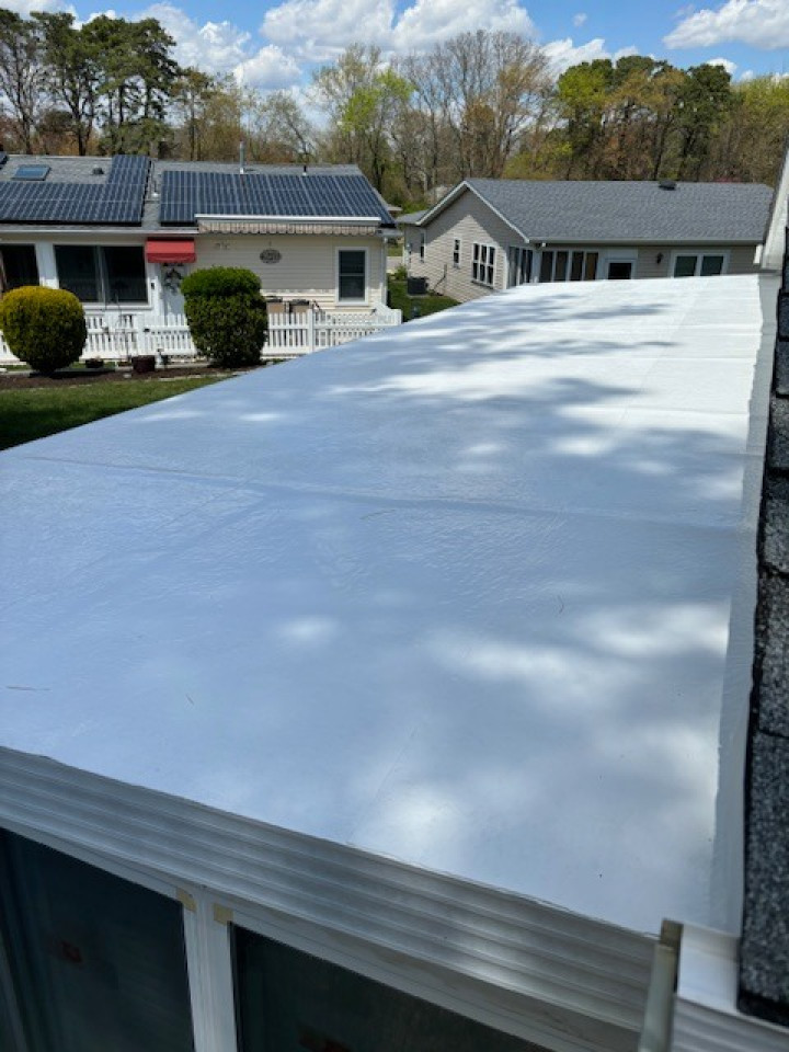 Silicon Roofing